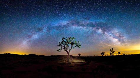 Evening photo: Starry skies over Joshua Tree National Park – Blazing Cat Fur