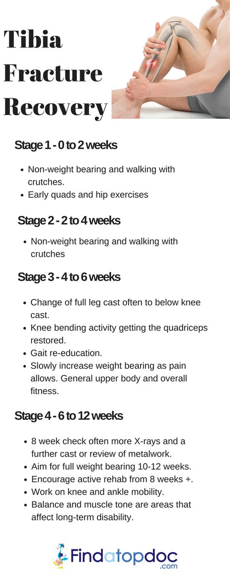 Tibia Fracture Recovery [Infographic]