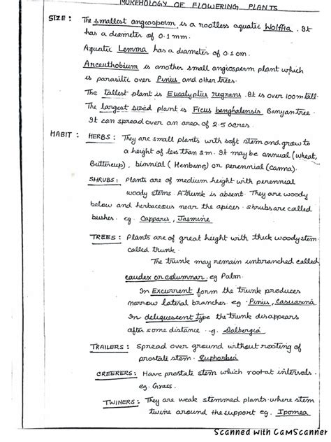 Biology (Morphology | PDF