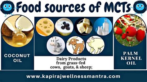 MCTs: The Secret Fat for weight loss! Myth OR truth? - KAPIRAJwellnessmantra:ETERNAL BEAUTY & HEALTH