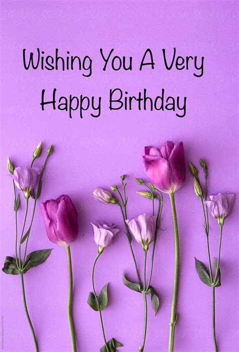 Happy Birthday, pink/lilac tulips, purple background | Happy birthday fun, Happy birthday wishes ...