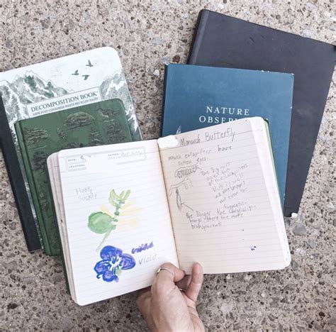 Nature Journaling Supplies: What You Need in Your Bag Now - Joanna Overly