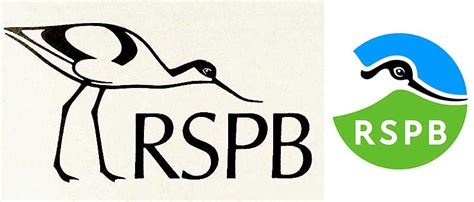 The History Of The RSPB’s Avocet Logo | Bird Spot