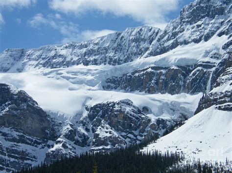 Crowfoot Glacier - Canada Photograph by Phil Banks - Fine Art America