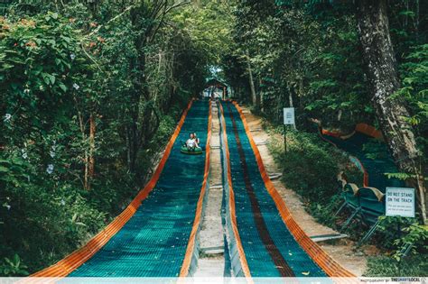 Escape Theme Park Penang: 2-In-1 Waterpark & Adventure Course For Thrillseekers