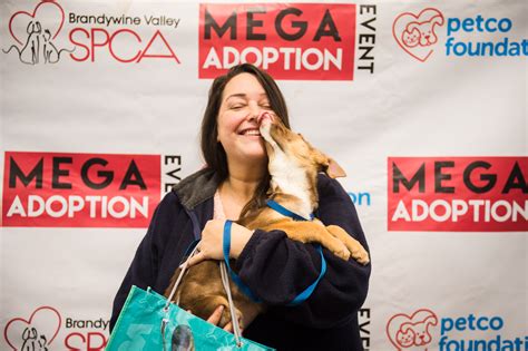 Houston mega pet adoption event: 14 shelters, rescues participating