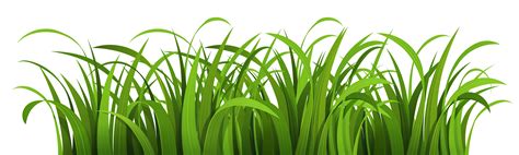 Grass PNG Image - PurePNG | Free transparent CC0 PNG Image Library