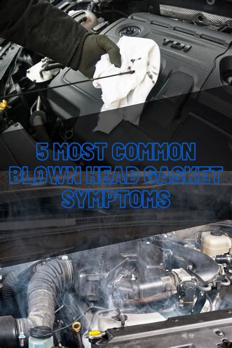 5 Most Common Blown Head Gasket Symptoms in 2022 | Symptoms, Serious ...