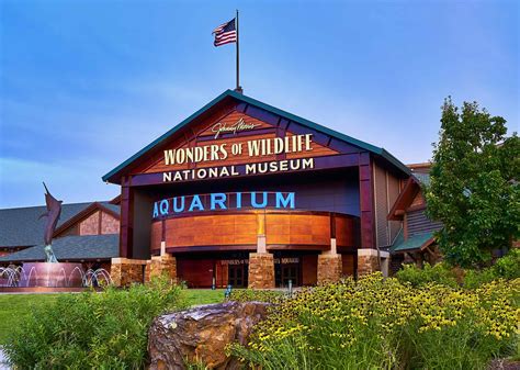 Johnny Morris’ Wonders of Wildlife Once Again Voted America’s BEST Aquarium - Bass Pro