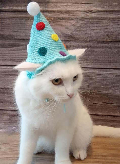 Cat birthday hat Crochet hat kitten Hats for dog Cats wearing | Etsy