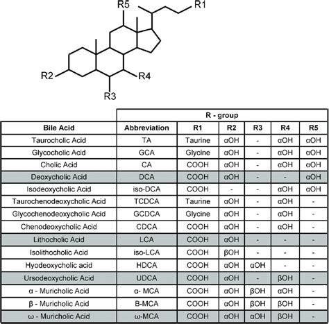 Structures of the bile acids discussed in this review. Shaded rows ...