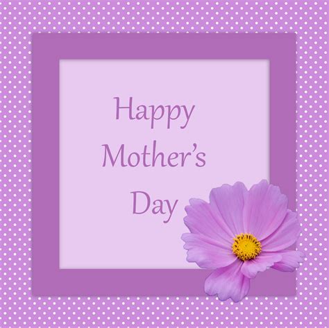 Mother's Day Card Flower Free Stock Photo - Public Domain Pictures