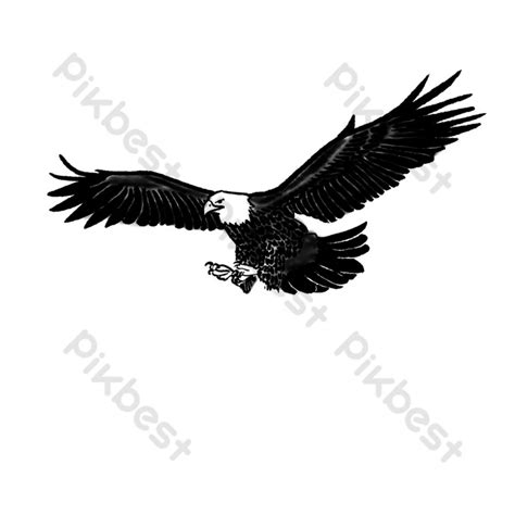 Ink Black And White Illustration Eagle Illustration PNG Images | PSD Free Download - Pikbest