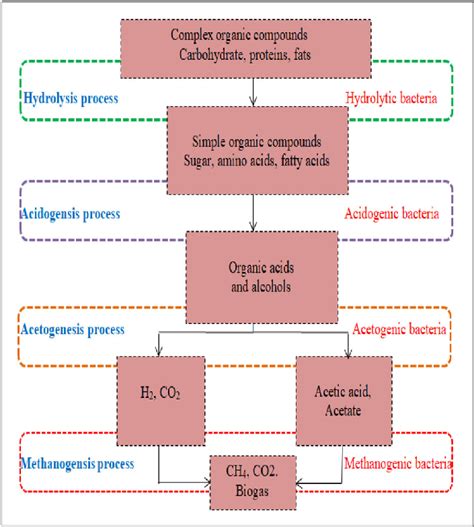 Biogas production process. | Download Scientific Diagram