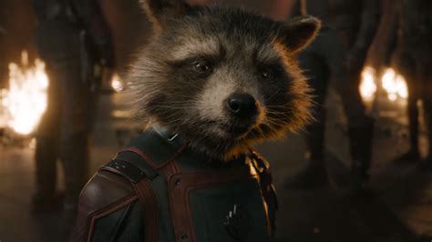 James Gunn About Rocket Raccoon and His Importance in GUARDIANS OF THE ...