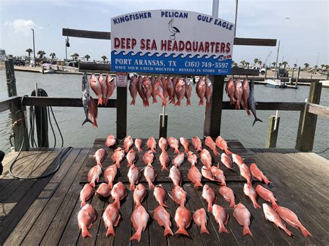 Port Aransas, Texas | Port aransas, Red fish, Bass fishing