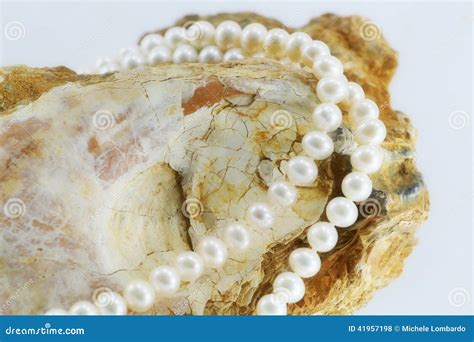 Pearl Necklace, upon a Fossil Oyster Shell Stock Photo - Image of bride, contrast: 41957198