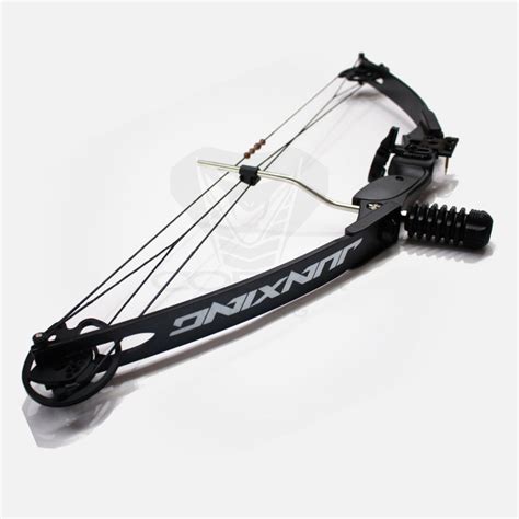 30-50lbs Black Compound Bow + Accessories Archery Hunting - COBRA Hunting