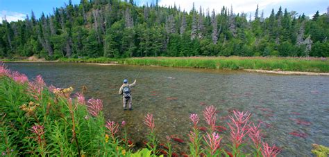 Alaska - Wild Salmon Center