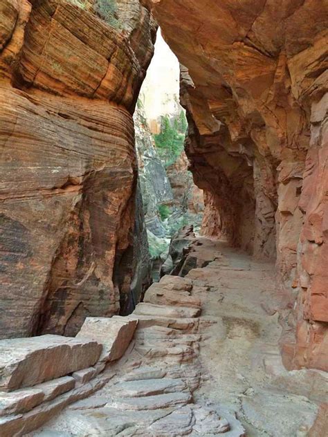 Observation Point – Zion National Park – Hike St George