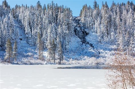 Premium Photo | Winter lake