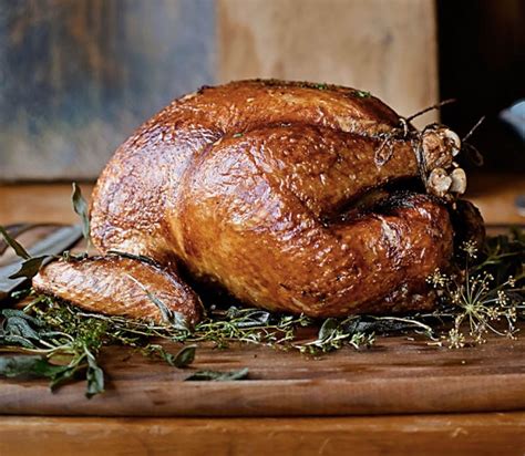 Domestic Details: 12 Tips for Roasting the Perfect Thanksgiving Turkey ...