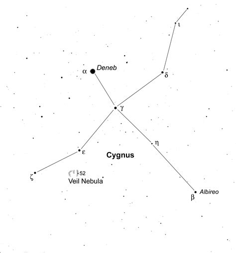 Cygnus Constellation Tattoo