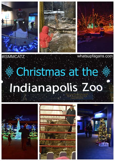 Christmas Lights At The Indianapolis Zoo | semashow.com