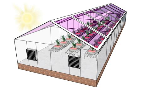 Greenhouses can use solar cells to become energy neutral | Electronics360