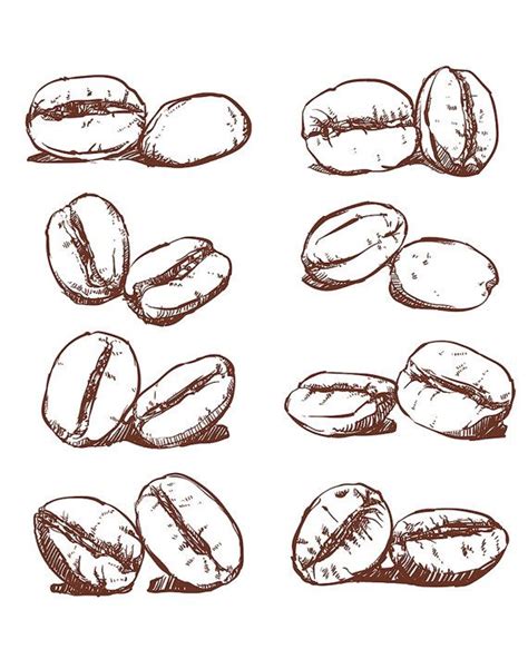 80% off Sale Coffee Bean Hand Drawn Vector, Sketch of Coffee Beans. Hand Drawn Coffee Vector ...