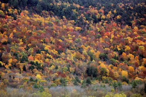 Fall foliage of New England - Tripoto