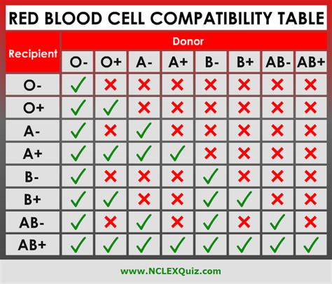 Red Blood Cell Compatibility Chart - Blood Type Chart