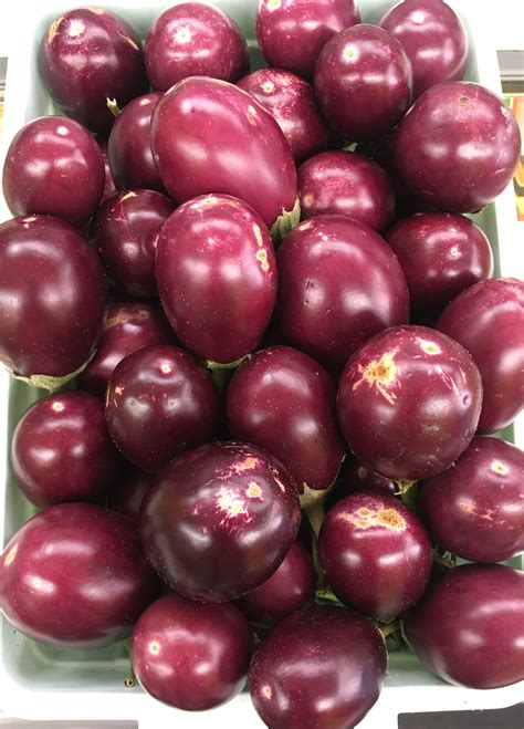 EGGPLANT ROUND 1 LB – New Foods Of India