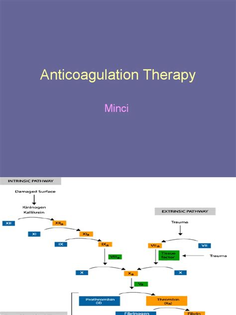 Anticoagulation Therapy | Hematology | Medical Treatments