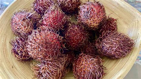 All About Rambutan: How to Eat This Spiky Fruit