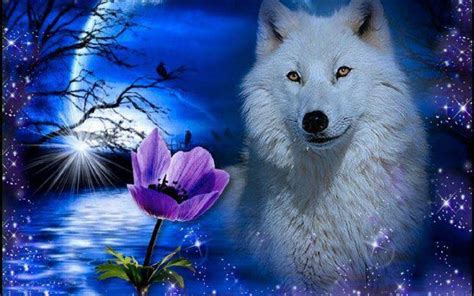 White Wolf Wallpapers - Wallpaper Cave