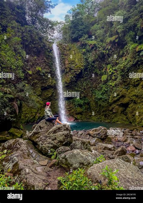 The beautiful Costa Rica Rainforest, waterfalls and blue river in the middle of the jungle Stock ...