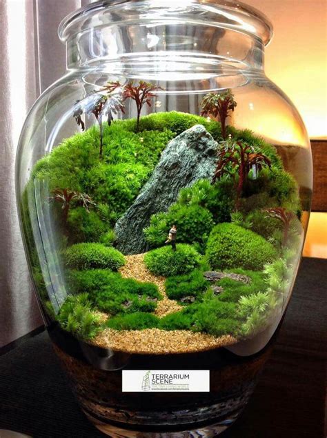 Mahmut Kırnık.608 | Beautiful terrariums, Terrarium, Terrarium decor