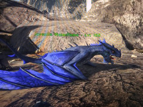 By far the coolest fire wyvern I've ever hatched : r/ARK