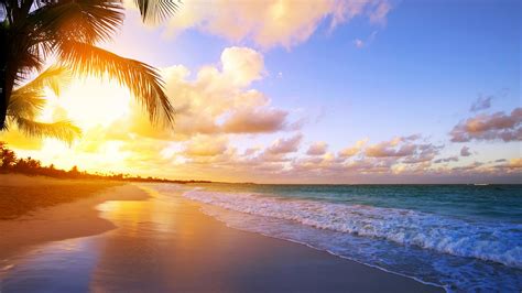 Tropical beach sunrise - backiee