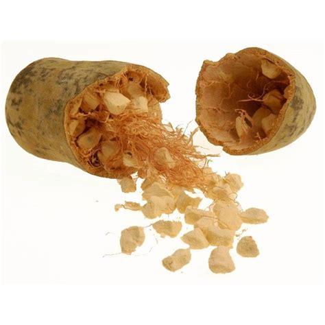 Baobab Seeds (Adonsonia digitata) - Price €1.95