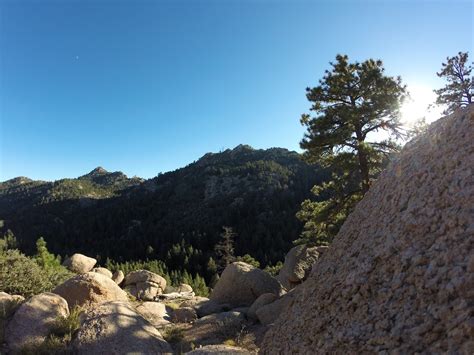 Ravine Ravings: Hiking the Hualapai Mountains