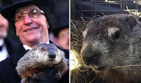 Groundhog Day 2019: Buckeye Chuck vs Punxsutawney Phil - who is more ...