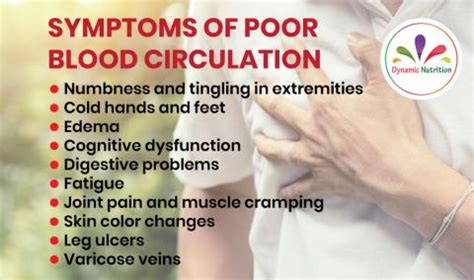 Symptoms of Poor Blood Circulation | Dynamic Nutrition