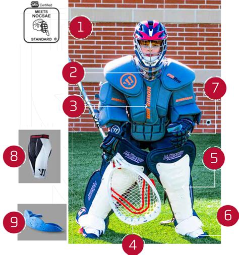 spontan zäh gut box lacrosse goalie dramatisch gut Sauber