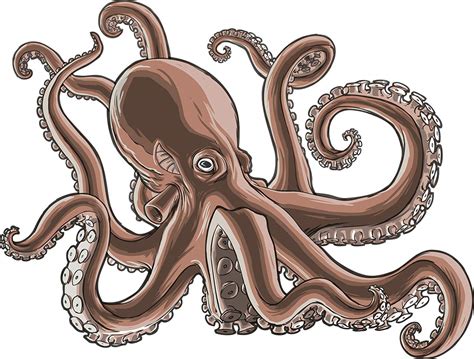 Octopus clipart realistic pictures on Cliparts Pub 2020! 🔝