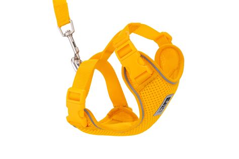 Adventure Kitty Harness |Cat Harness and Leash for Walking