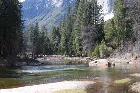 Merced River Fishing | Yosemite | Dave's Sierra Fishing