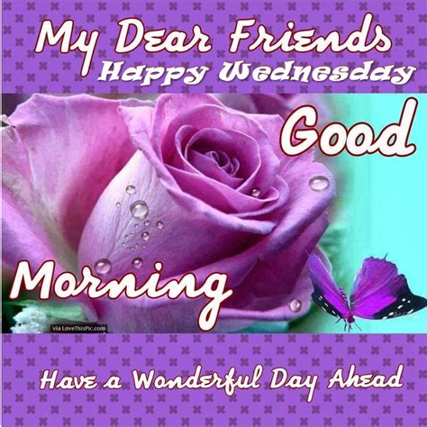 My Dear Friend Happy Wednesday - Good Morning Wishes & Images