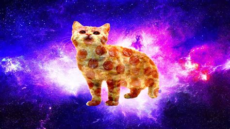 Cat Pizza Wallpapers - Top Free Cat Pizza Backgrounds - WallpaperAccess